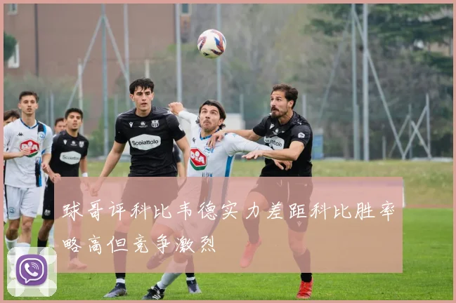 球哥评科比韦德实力差距科比胜率略高但竞争激烈